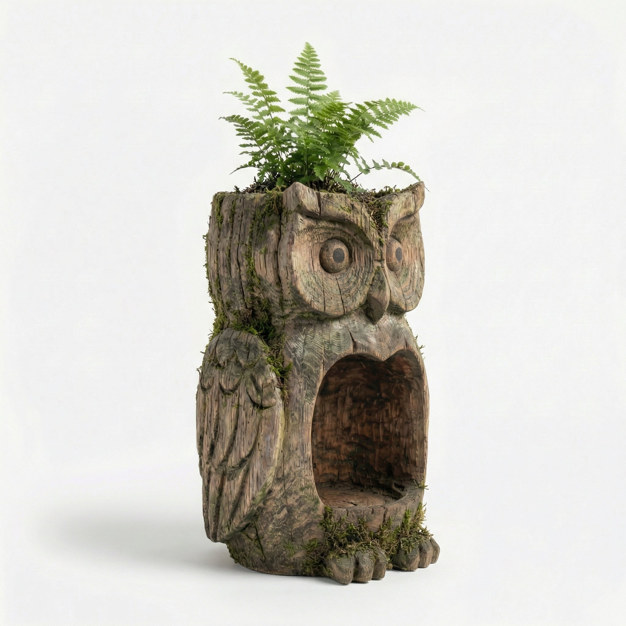 Early Spring Dual-Purpose Plant Owl Guardian-ChicWoo