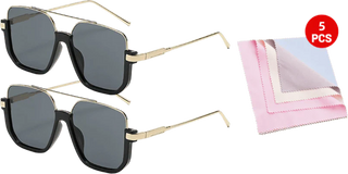 VisionForce – Retro Polarized Aviator Sunglasses