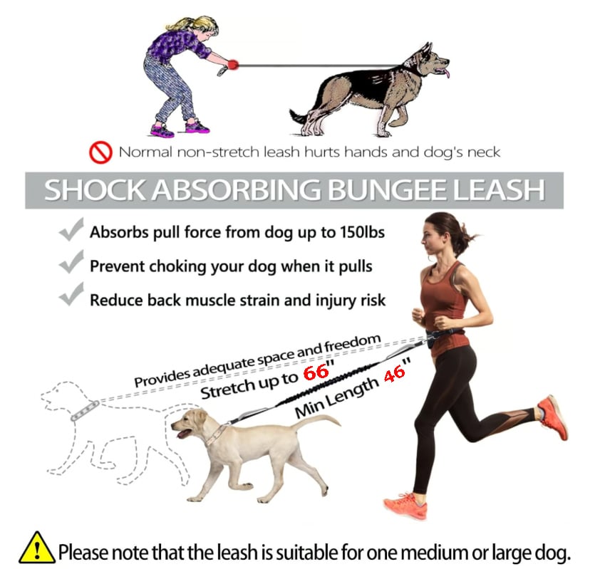 FreePace Leash - Waist Belt Dog Lead with Carry Pouch