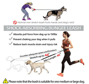FreePace Leash - Waist Belt Dog Lead with Carry Pouch