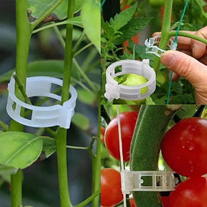 Plant Support Clips marnetic
