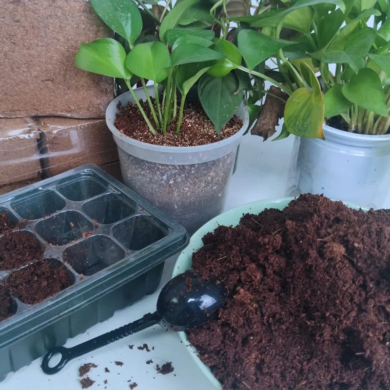 CocoBloom – Organic Coconut Coir Bricks for Healthy Plant Growth