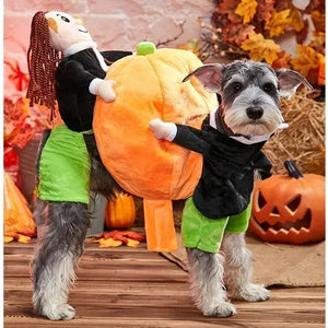Deadly Doll Pet Costume marnetic