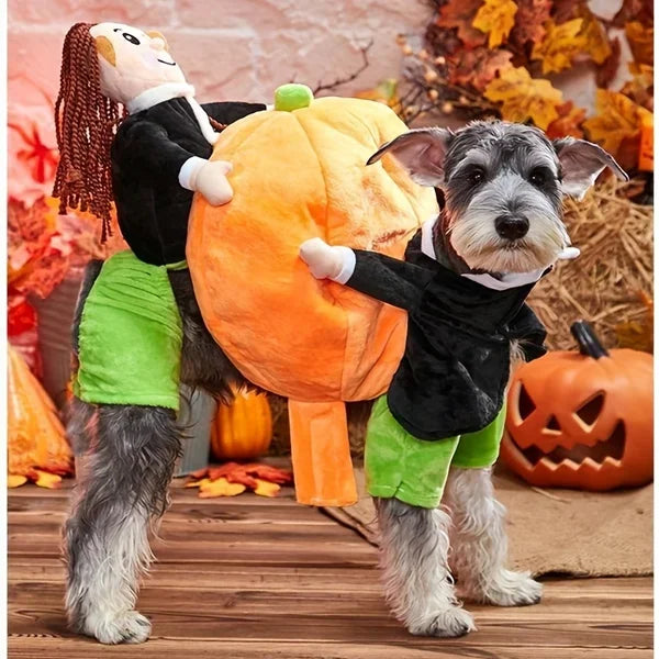 Deadly Doll Pet Costume