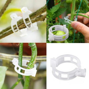 StemHold – Reusable Clips for Upright Plants