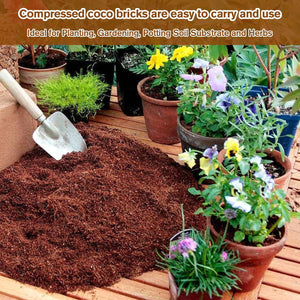NatureSprout – Organic Coconut Coir for Lush Gardens