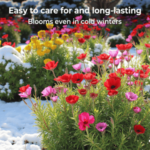 FloraBurst – Mixed Perennial Flower Seeds Collection