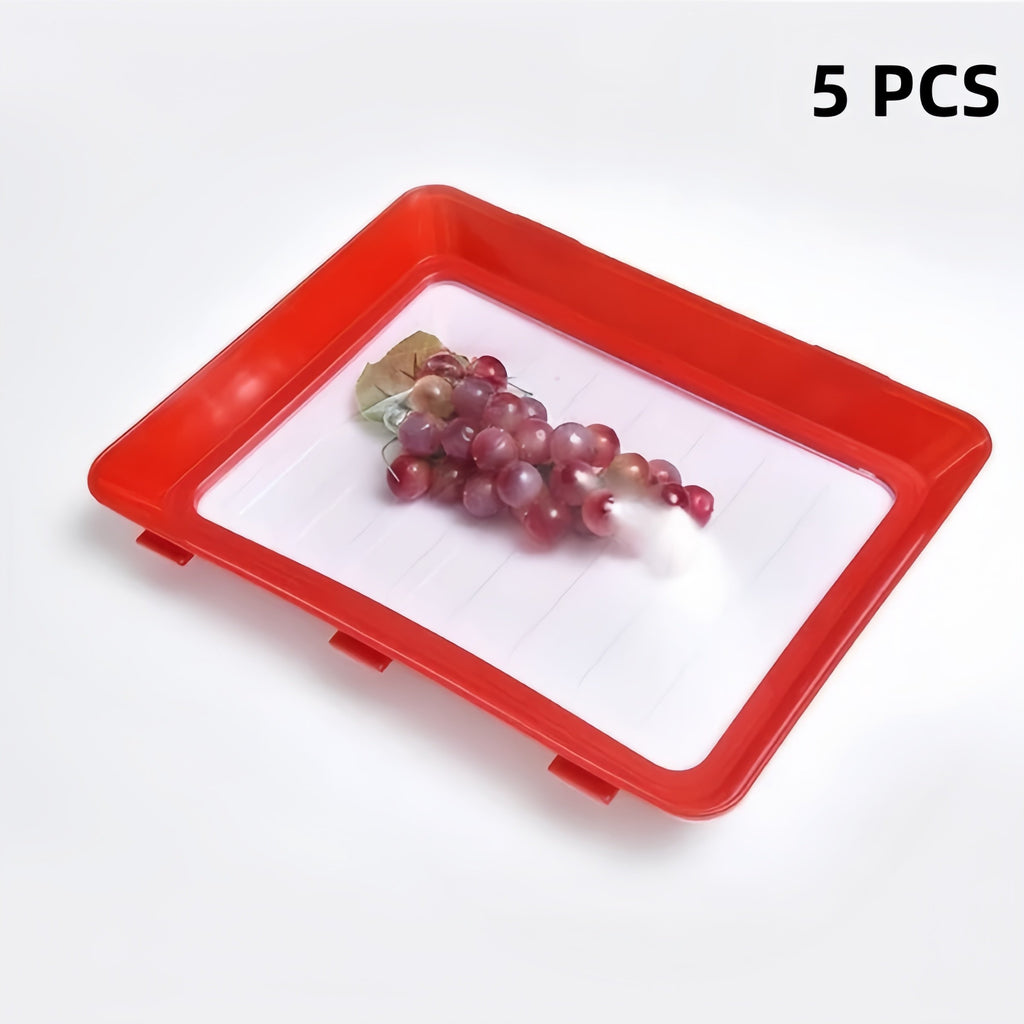 EverFresh - Reusable Food Preservation Tray