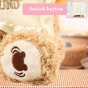 HolidayHug - Adorable Plush Bear