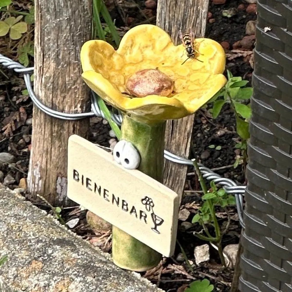 BuzzHaven – Eco Waterer for Garden Insects