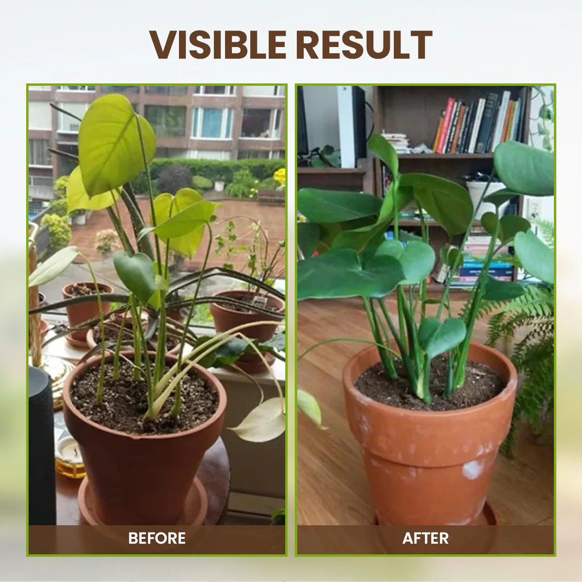 Yegbong - Soil Revive & Growth Activator