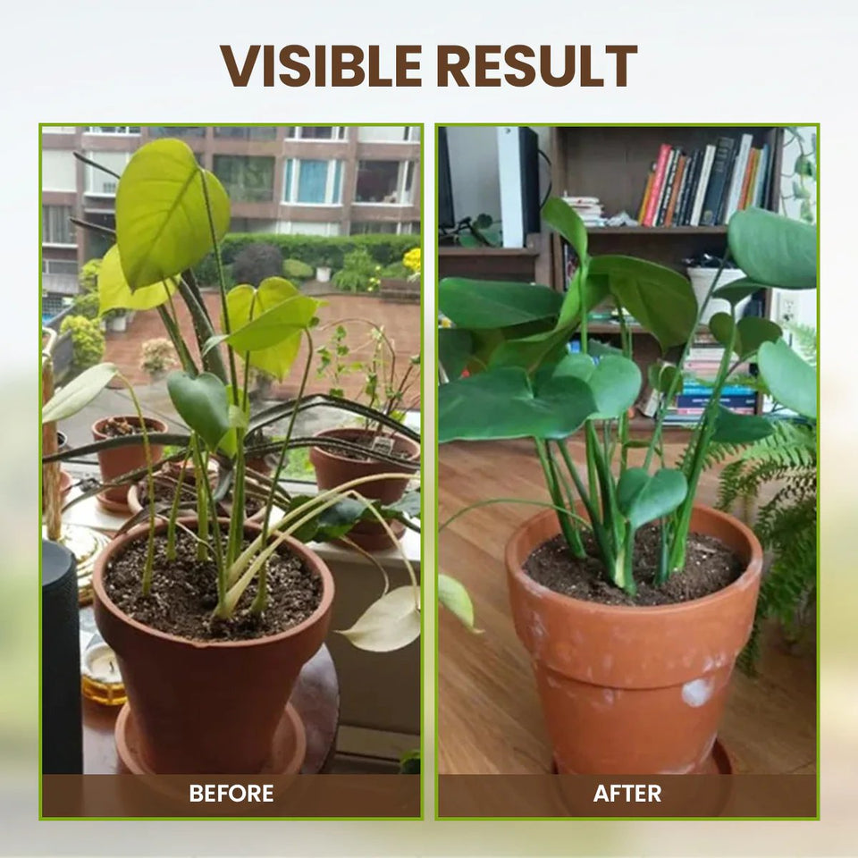 Yegbong - Soil Revive & Growth Activator