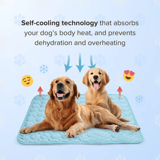 CooliPet – Smart 4X Effective Pet Cooling Mat