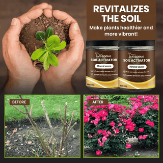 Yegbong - Soil Revive & Growth Activator