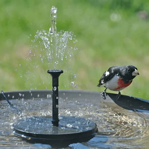 SunSplash - Bird Solar Powered Fountain