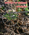 WeedMaster™ - Your Ultimate Weeding Tool marnetic