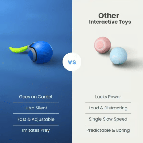 SwiftPaw | Teasing Tail Ball