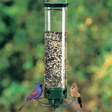 Squirrel Proof Automatic Bird Feeder