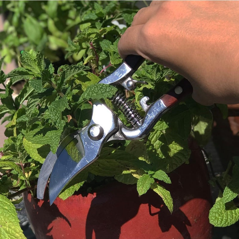 IronLeaf – Artisan Hand-Forged Multipurpose Shears