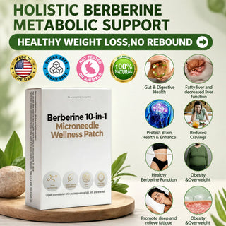 MetaFlow – Daily Wellness Microneedle Patch