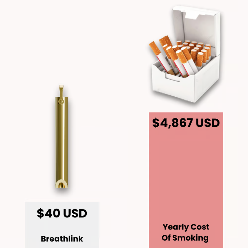 BreathLink – Smoke Free Journey Companion
