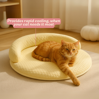 Breeze Bed