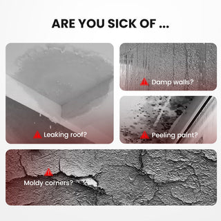 TitanSeal 24 - Long-Lasting Waterproof Defense