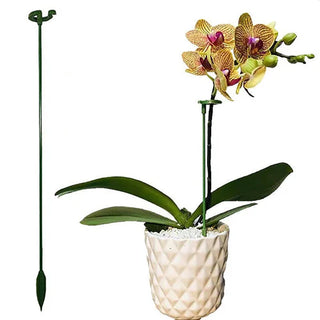 GrowGuard – Plant Support Post