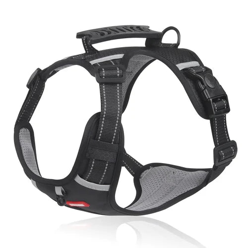 Tug-Free Dog Walking Harness marnetic