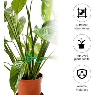 PlantGuard – 4-Pack Plant Support Set