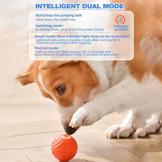 BarkBounce - Interactive Dog Teasing Ball