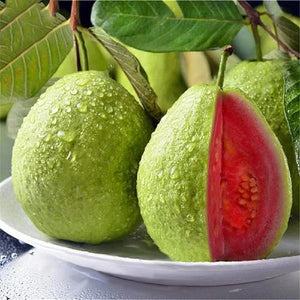 🌱Guava seeds, suitable for potted plants, greenhouses and outdoor gardens