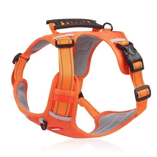 Tug-Free Dog Walking Harness marnetic