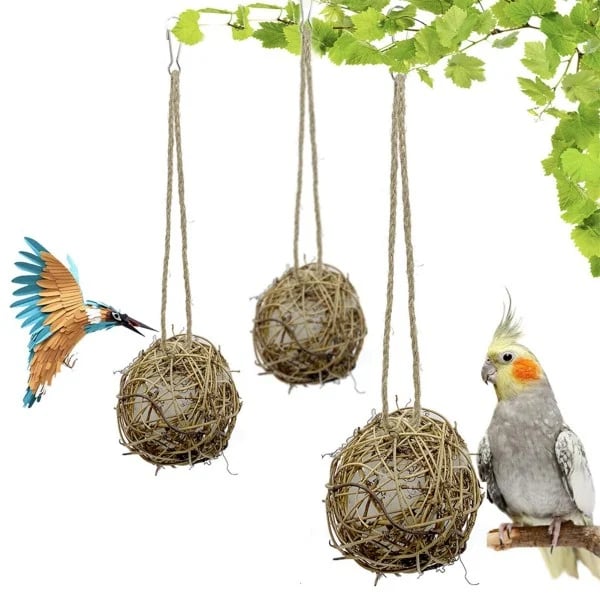 EcoNest – Handmade Birdhouse DIY Set