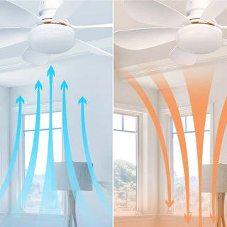 BreezeLux | 2-in-1 Socket Ceiling Fan with Light