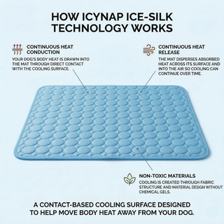 ❄️🐶 So bleibt Ihr Hund den ganzen Sommer über schön kühl – die „Instant Ice-Silk“-Kühlmatte für sofortigen Komfort! 🐾🔥