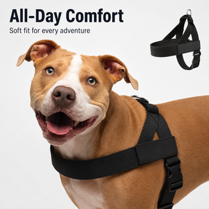 PawGuard – No-Pull Dog Harness