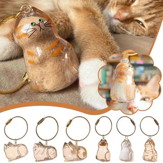 MemoryPaw – Pet Hair Memorial Capsule Keychain
