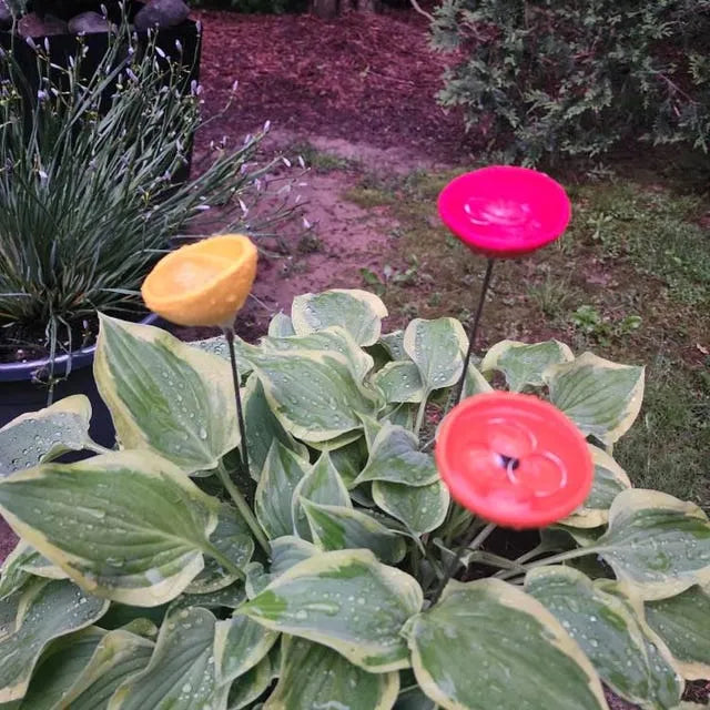 FlutterQuench – Complete Garden Drink Station Set