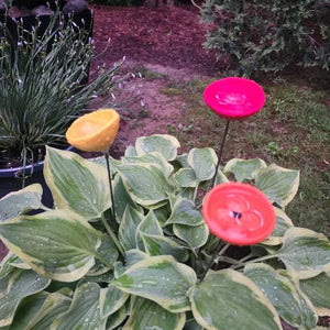 FlutterQuench – Complete Garden Drink Station Set