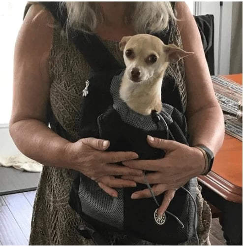 CoolPup - Pet Carrier Backpack