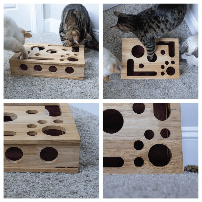🎁😻Cat Scratch Puzzle Enrichment Box✨