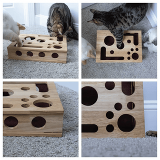 🎁😻Cat Scratch Puzzle Enrichment Box✨