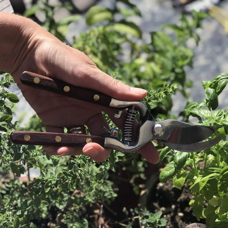 IronLeaf – Artisan Hand-Forged Multipurpose Shears