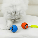 SwiftPaw | Teasing Tail Ball