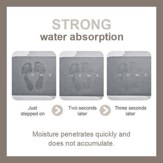 DryLux - Elegant Water-Absorbing Mat