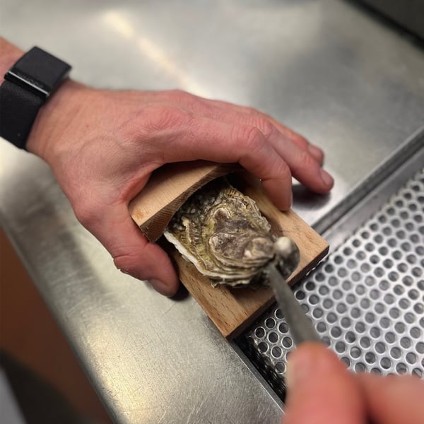 SureGrip Oyster Shucking Clamp marnetic