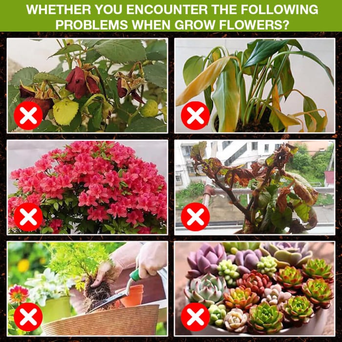 GrowBoost – Advanced Plant Growth Enhancer