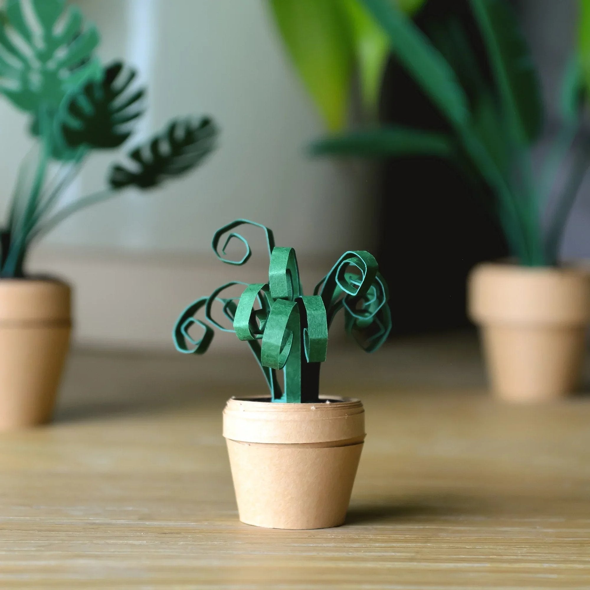 PaperPaws – A Cat Lover’s DIY Paradise