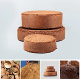 CocoBloom – Organic Coconut Coir Bricks for Healthy Plant Growth